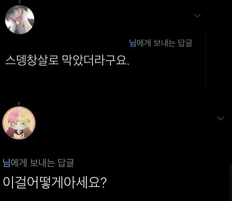 석촌호수로 헤엄쳐가면 롯데월드 공짜인가요?.jpg_2.webp