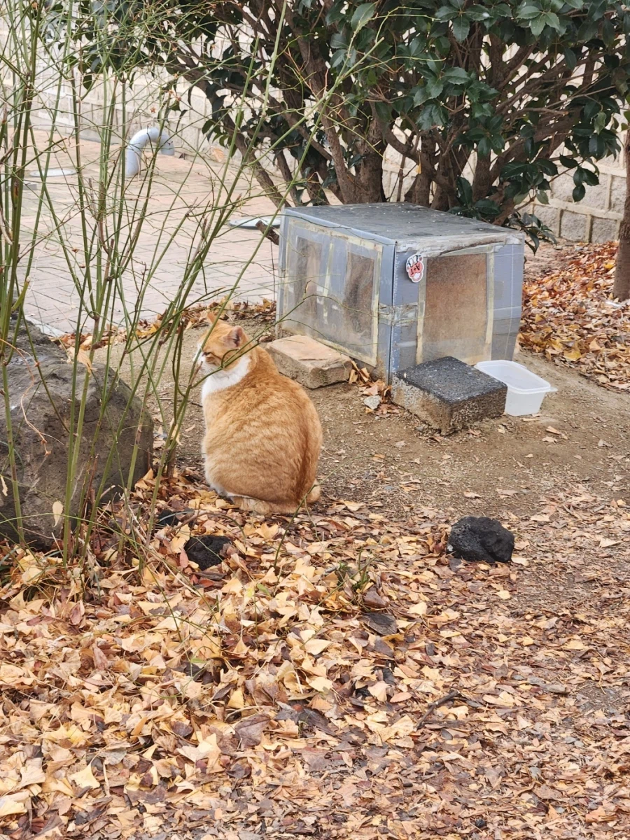 진주, 남해, 전주에서 먹은 음식들_63.webp