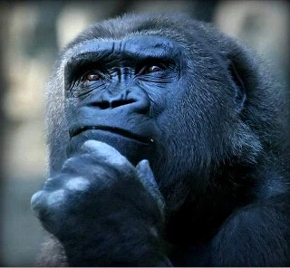 눈마새) 게임판에 등장하는 영웅왕 무기들 특_7.webp