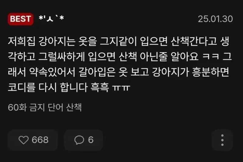 개한테 옷 코디 받기.jpg_1.webp