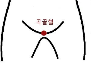 누르면 홍콩 가는 부위_2.webp