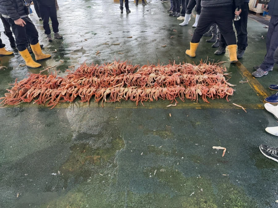 2026 대게 시즌 종료 + 새해 해산물들_4.webp