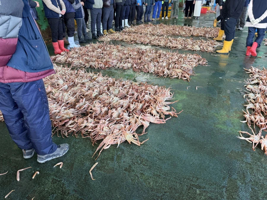 2026 대게 시즌 종료 + 새해 해산물들_6.webp