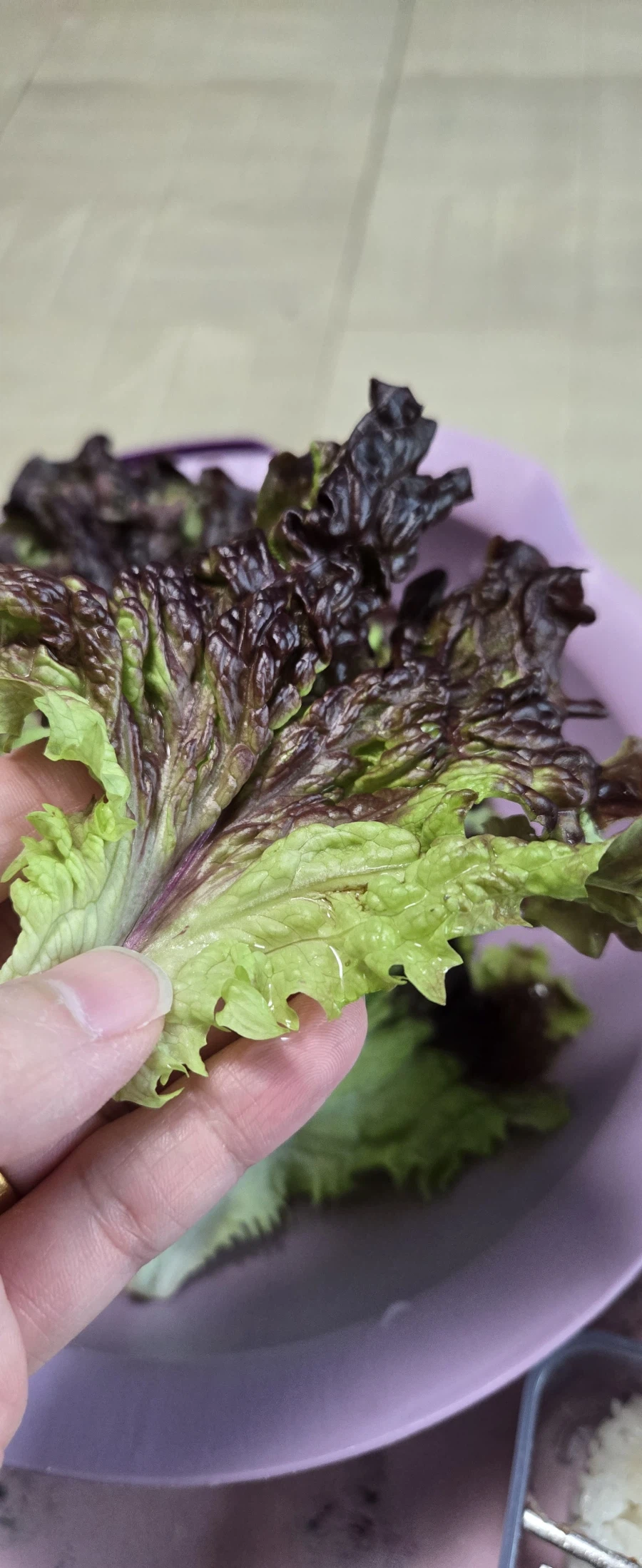 마눌과 아이를 처가에 보내고 먹은 음식들_4.webp