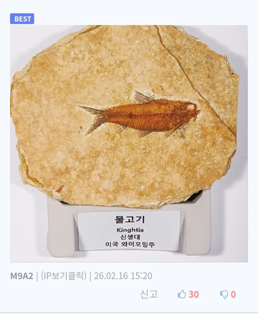 충청도식 제사음식 타지인 반응_2.webp