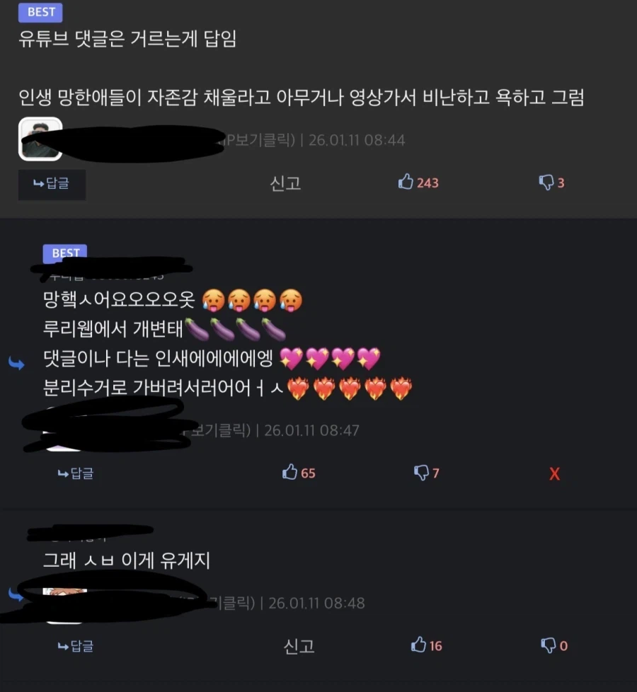 유튜브에서 알려쥬는 루리웹_1.webp