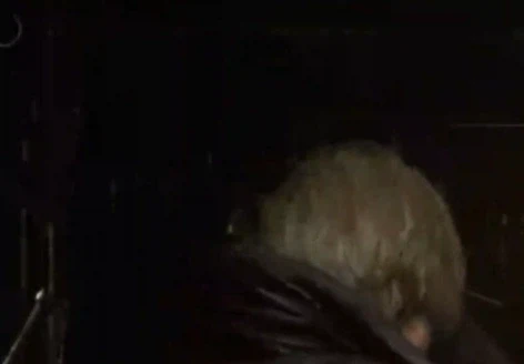 바이오하자드 레퀴엠 엔딩 유출 주의_2.webp