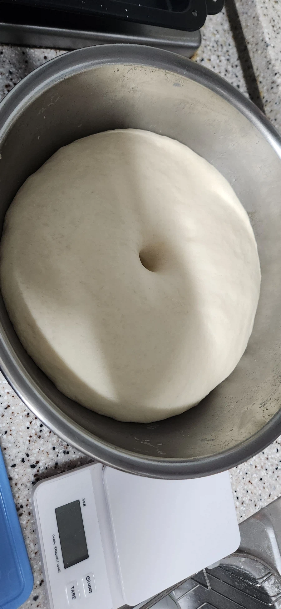 빵) 베이글 만들기 2회차_3.webp