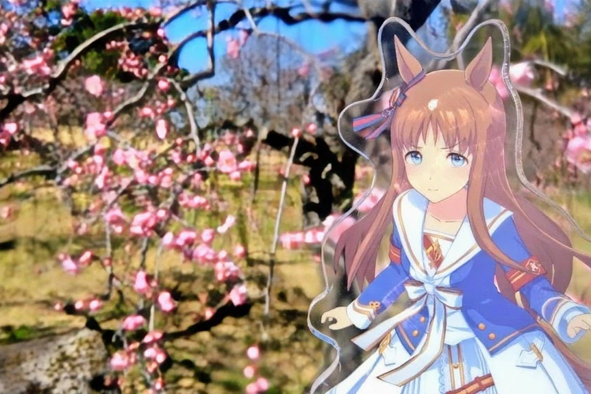 [말딸] 그래스의 생일축하 이미지 모음_32.webp