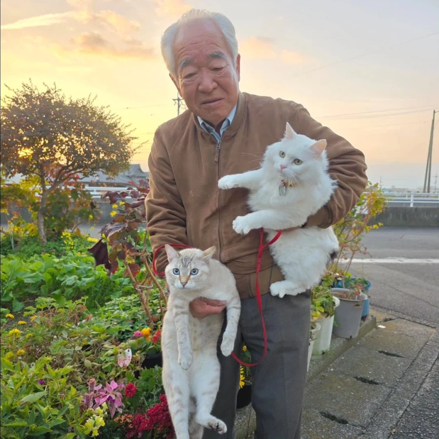 할부지와 고앵이들_3.webp