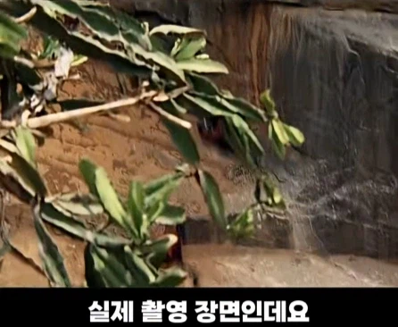 3개 국가에서 촬영한 영화 장면.jpg_12.webp