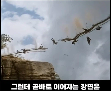 3개 국가에서 촬영한 영화 장면.jpg_16.webp