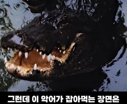 3개 국가에서 촬영한 영화 장면.jpg_25.webp