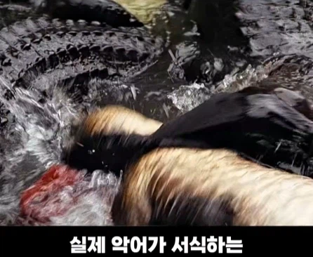 3개 국가에서 촬영한 영화 장면.jpg_27.webp