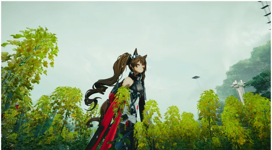 무릉에서 찍은 사진들_2.webp