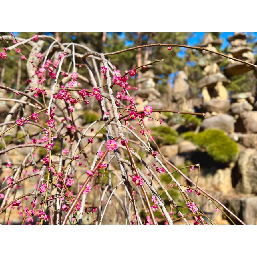 합천 천불천탑_6.webp