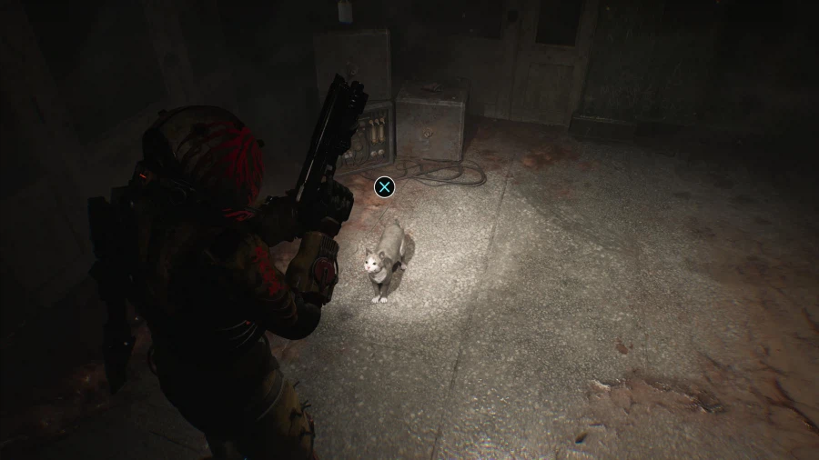 놀라운 성능 플스5프로_9.webp