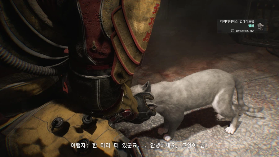 놀라운 성능 플스5프로_10.webp