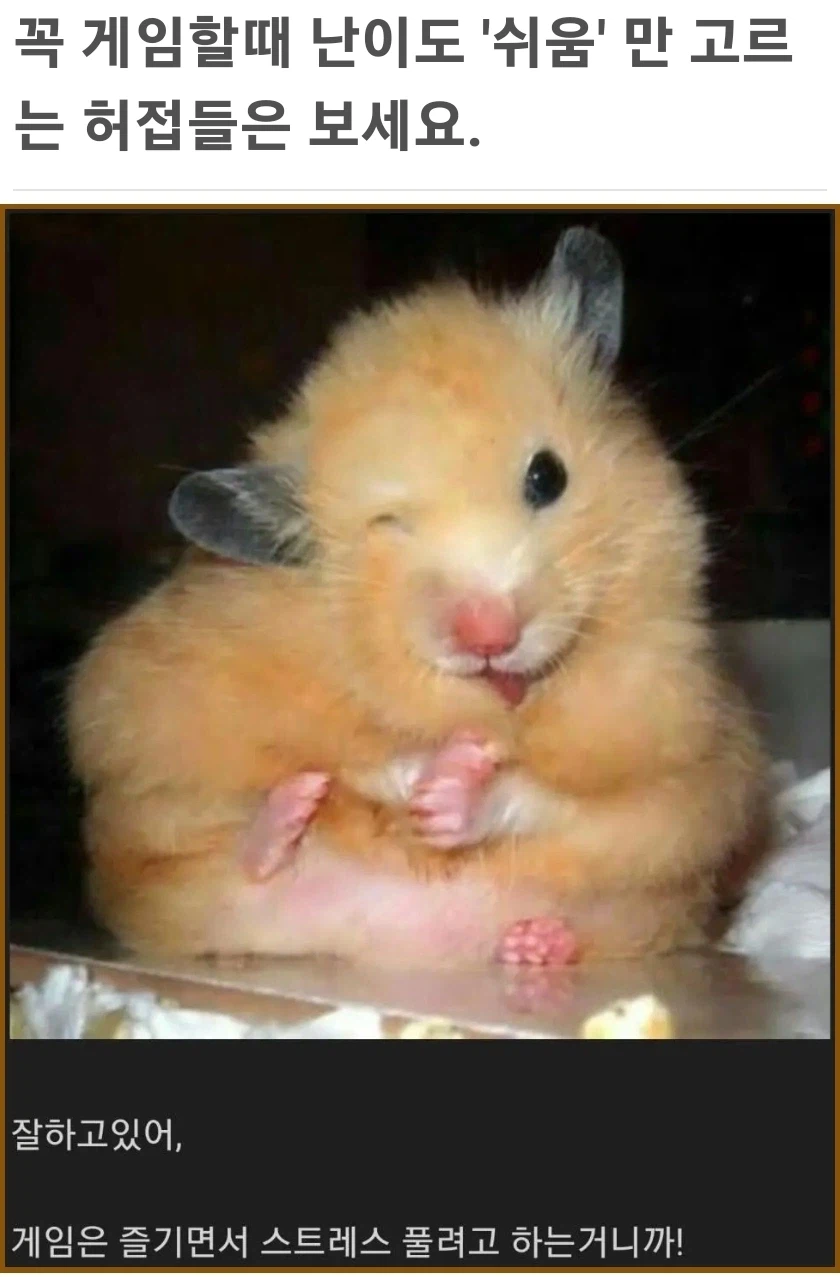 게임할때 '쉬움'만 하는 겁쟁이 들은 보아라_1.webp