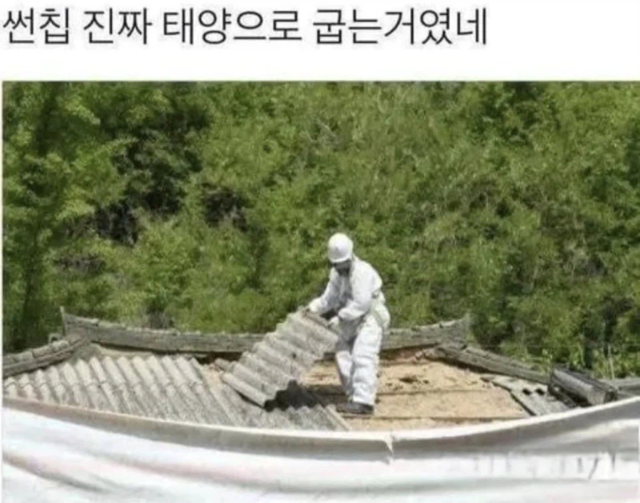 사람들이 모르는 썬칩 만드는 방법_1.webp