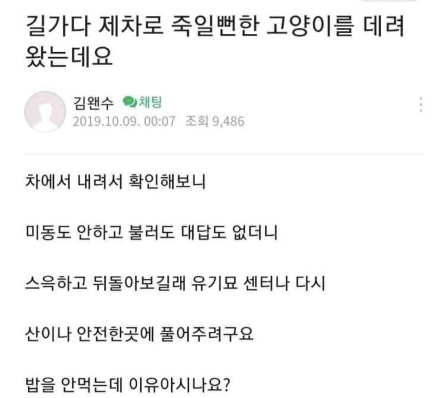 아깽이 : 잘못 간택했다 씨밤.jpg_1.webp