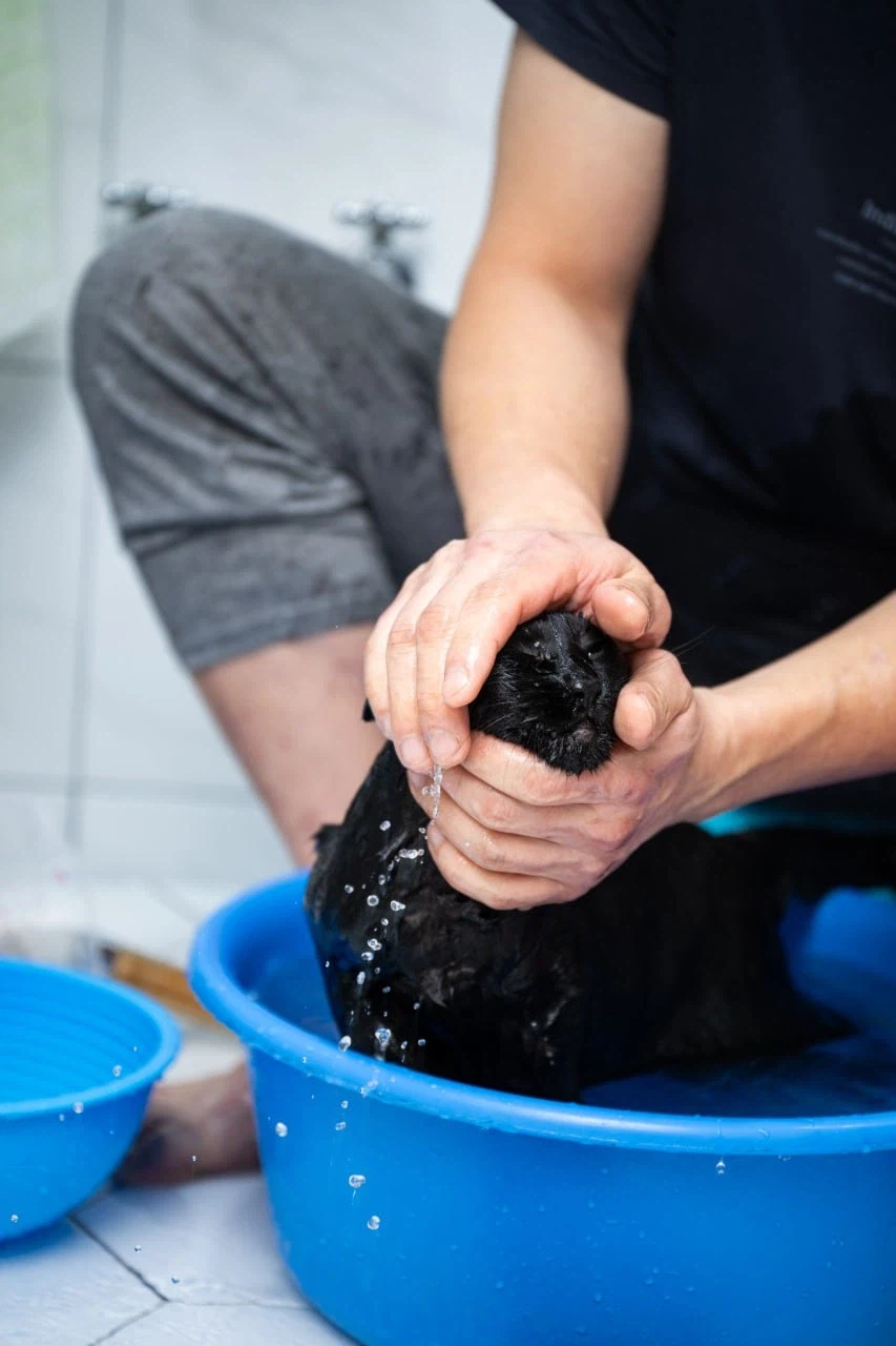 깜냥아 너 인물났다 오늘 어디 나가지 마라!_17.webp