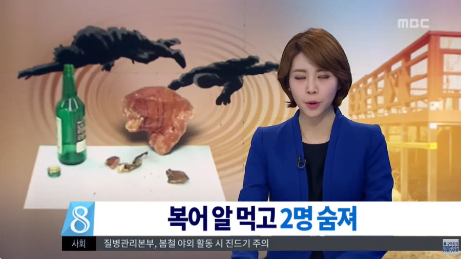 말린 복어알 훔쳐먹기.jpg_2.webp