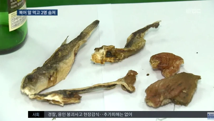 말린 복어알 훔쳐먹기.jpg_3.webp