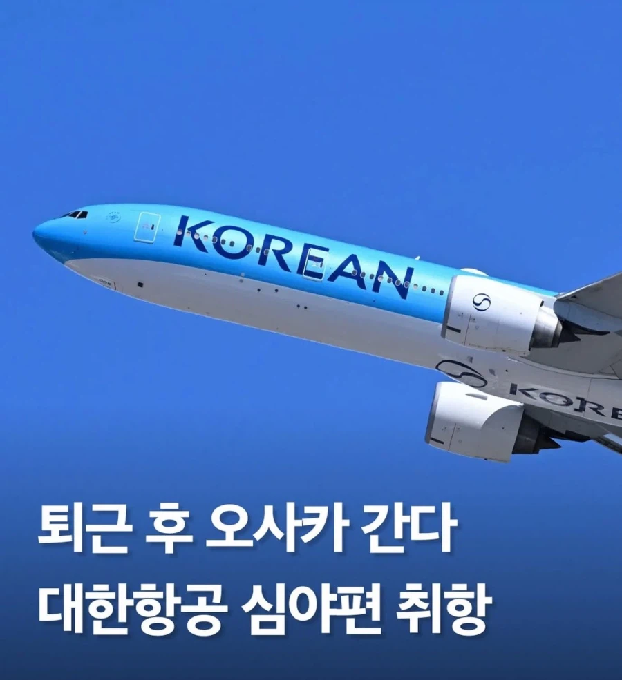 오사카 밤도깨비 여행이 가능해졌다는데_2.webp