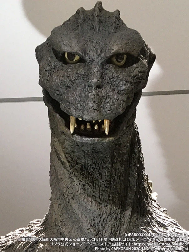 고지라)쇼와 미니라의 성장 과정_3.webp