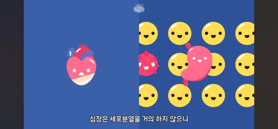 살면서 심장암이란 말을 들어볼 일이 없는이유_15.webp