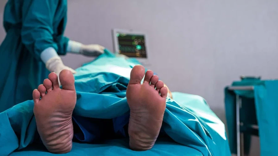 2026년 2월 20일 엑스박스 사망선고_1.webp