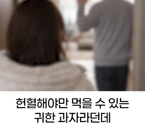 행복한 두쫀쿠.png_18.webp