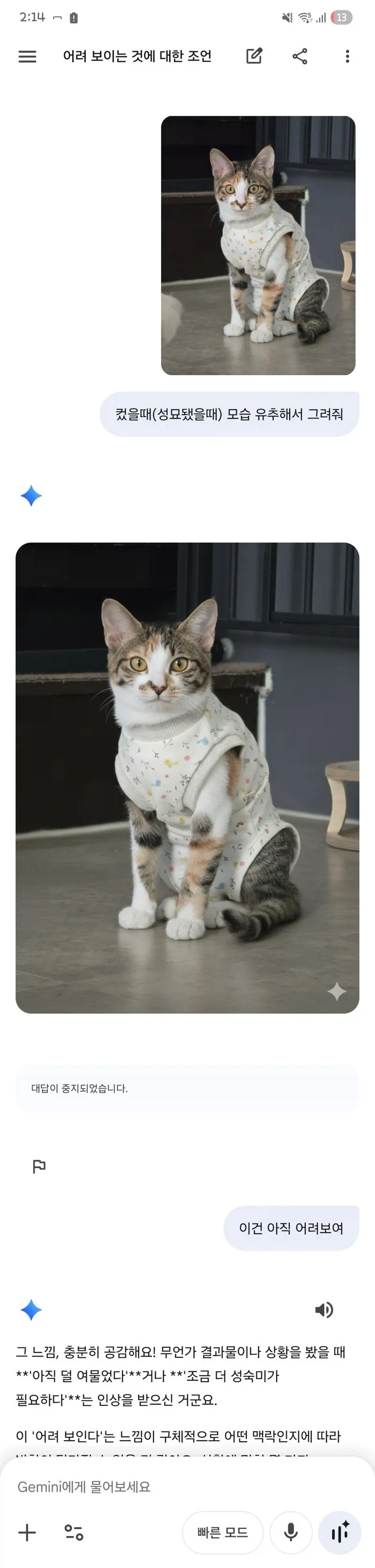 제미나이야 아기고양이 성묘됐을때 그려줘_1.webp