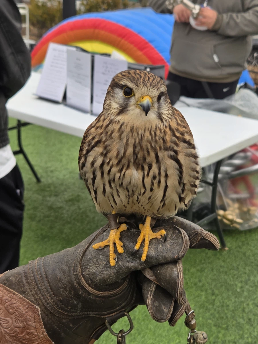 퍼조 2일차_4.webp