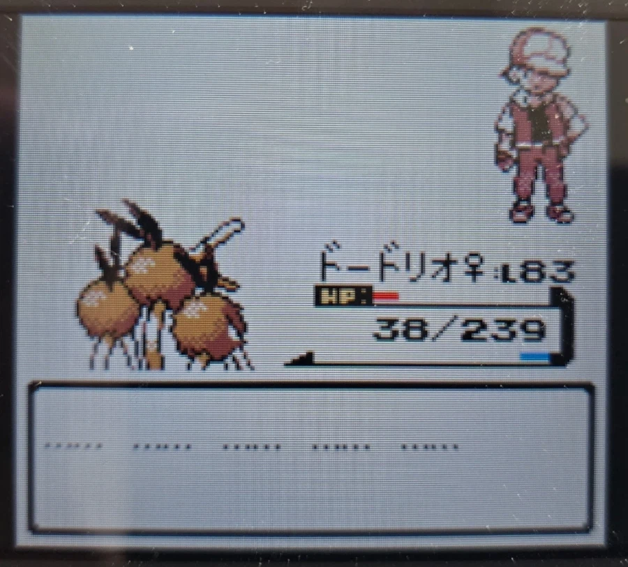 VC 크리스탈, 세레비 포획, 레드, 도감완성_6.webp