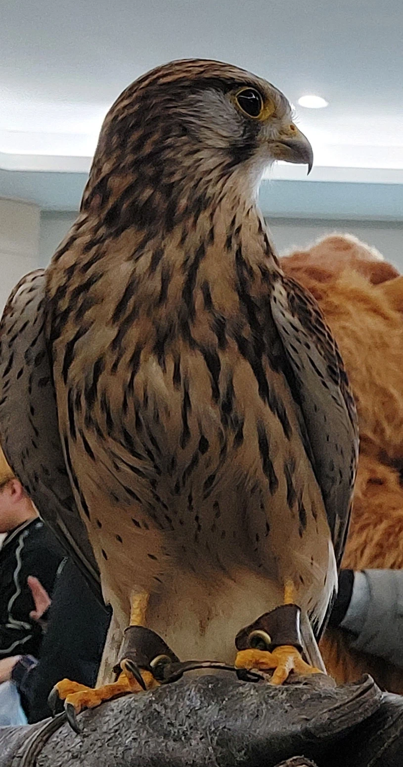 퍼리조아 후기 2_5.webp