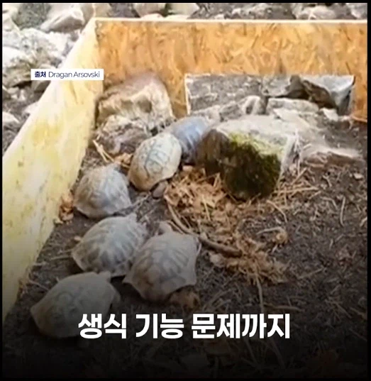 망가 처럼 무인도에 여자 하나 남자 여럿이면 생기는 일_6.webp