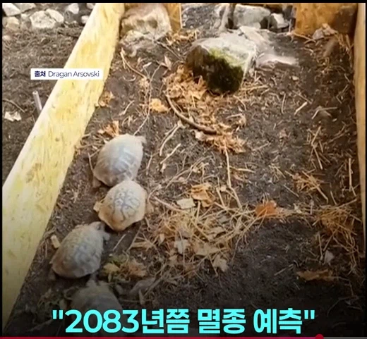 망가 처럼 무인도에 여자 하나 남자 여럿이면 생기는 일_11.webp