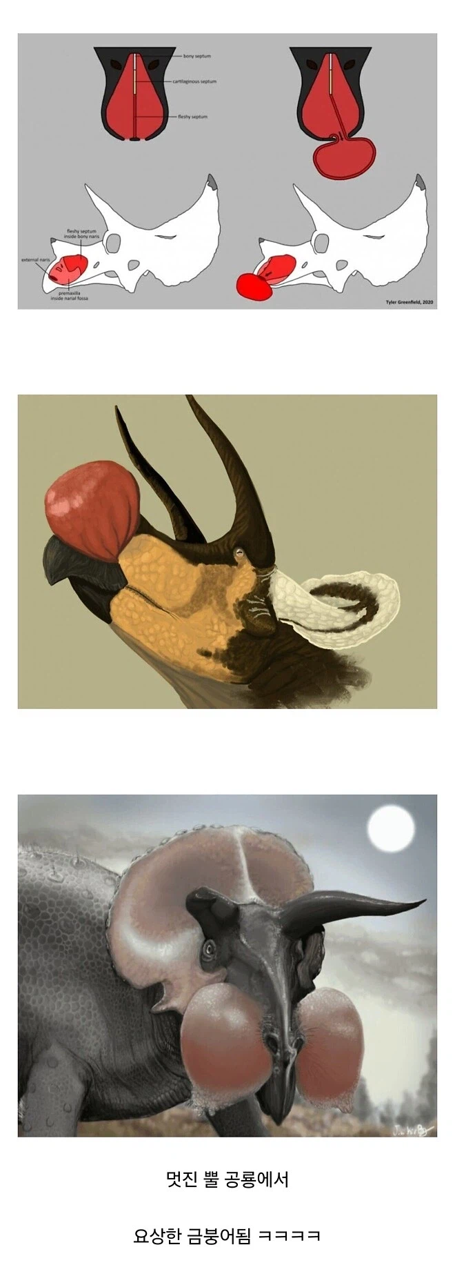 공룡덕후들이 커뮤니티 공룡 얘기에 종종 빡도는 이유_7.webp