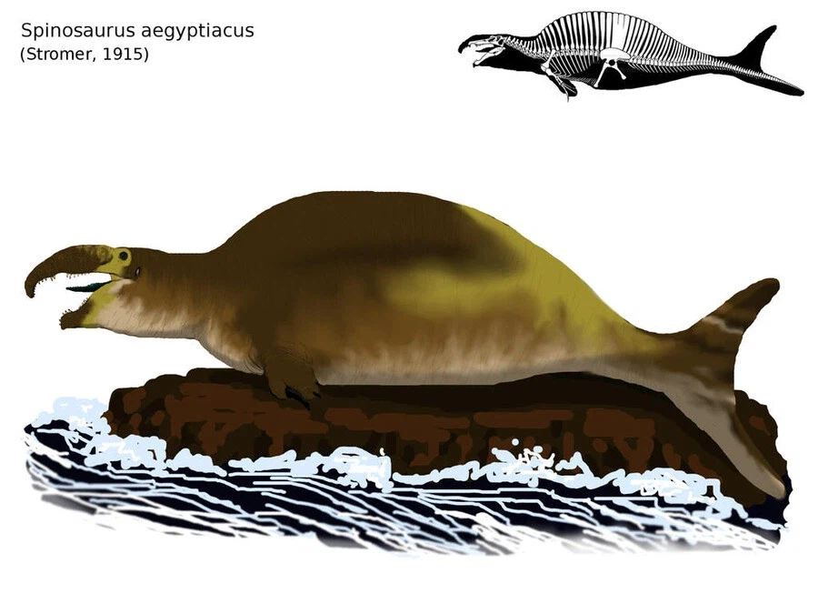 공룡덕후들이 커뮤니티 공룡 얘기에 종종 빡도는 이유_9.webp