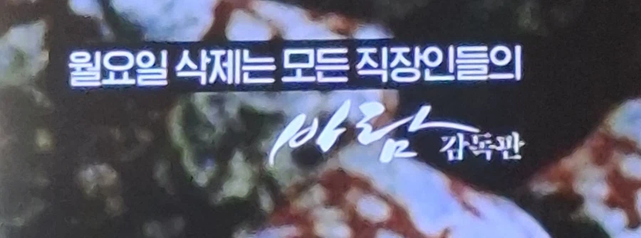 OCN 영화 소개 멘트 근황.jpg_1.webp