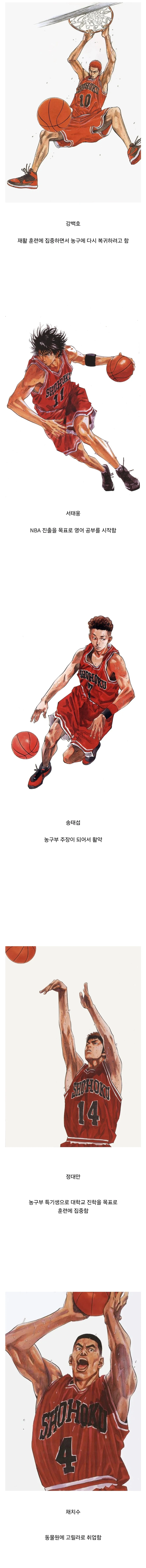 슬램덩크 후일담에서 밝혀진 북산팀_1.webp