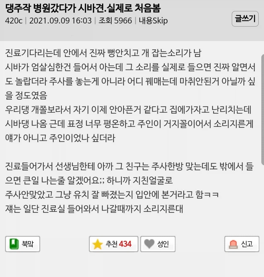 시바견 엄살 떠는 거 처음 봄.jpgif_2.webp