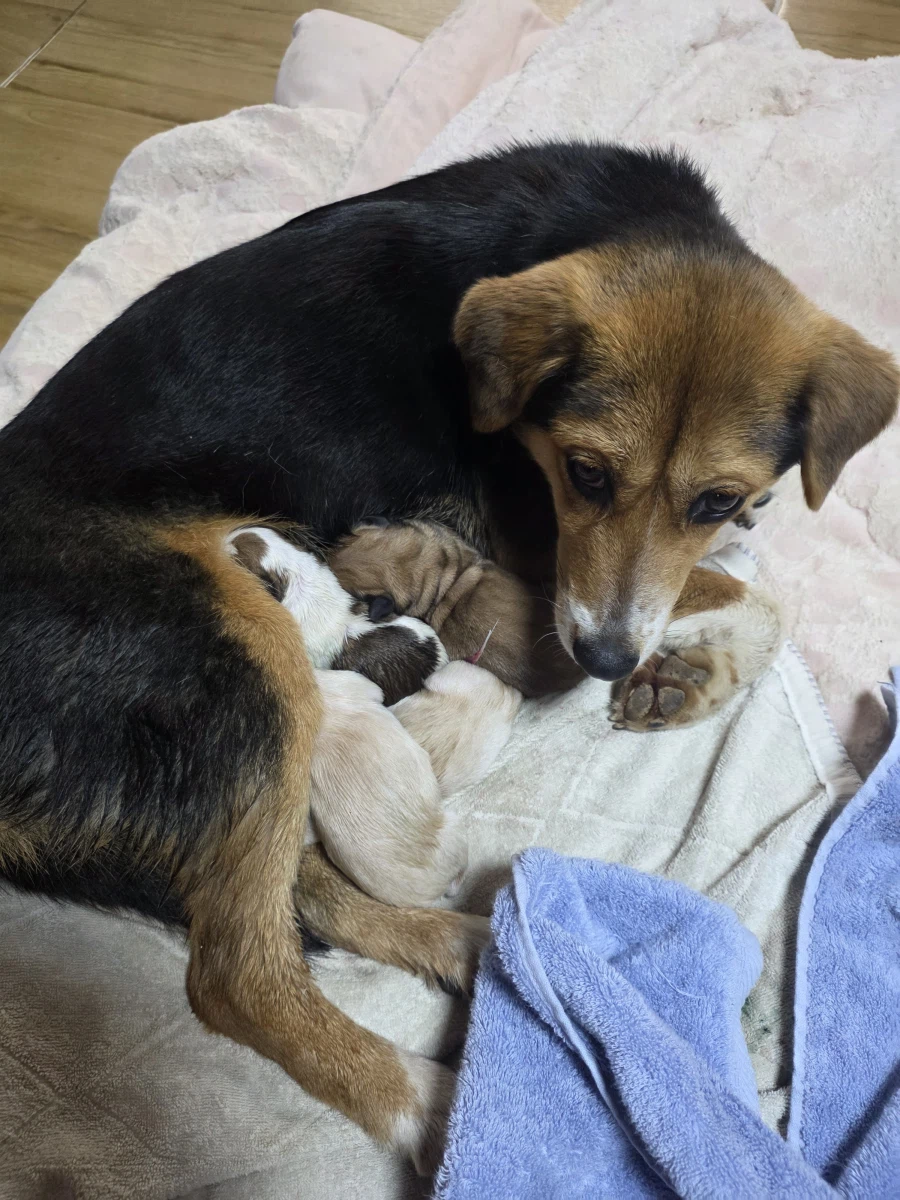 시골집 가면 낮은 확률로 볼 수 있는것_4.webp