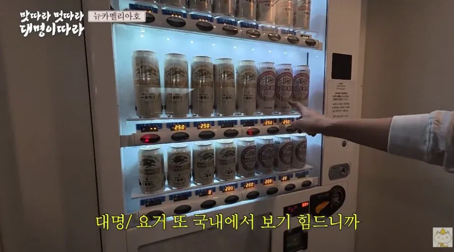 배우 김대명이 알려주는 "부산에서 배타고 후쿠오카까지 가는 장점"_7.webp