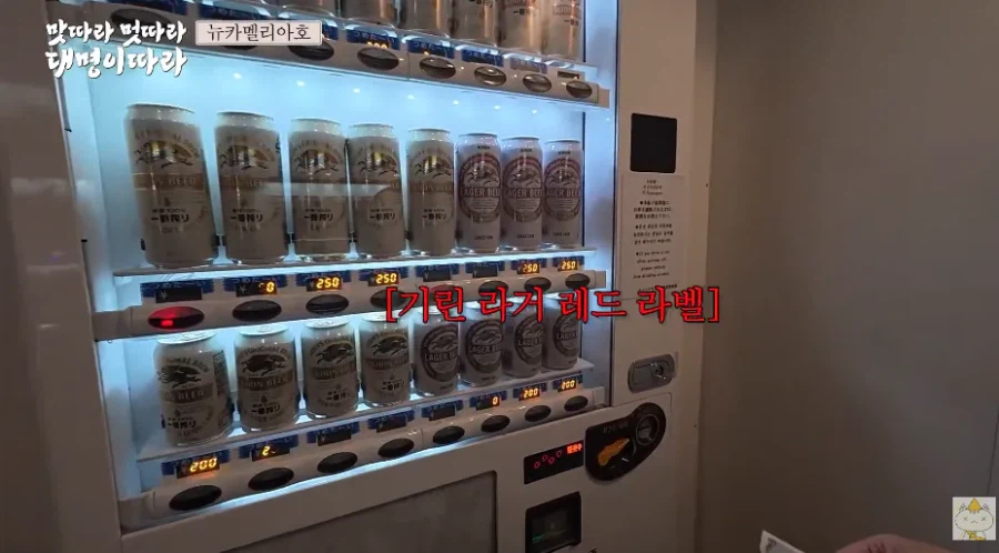 배우 김대명이 알려주는 "부산에서 배타고 후쿠오카까지 가는 장점"_8.webp