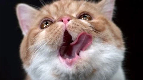 AMD도 많이 어려운 직무인가_1.webp