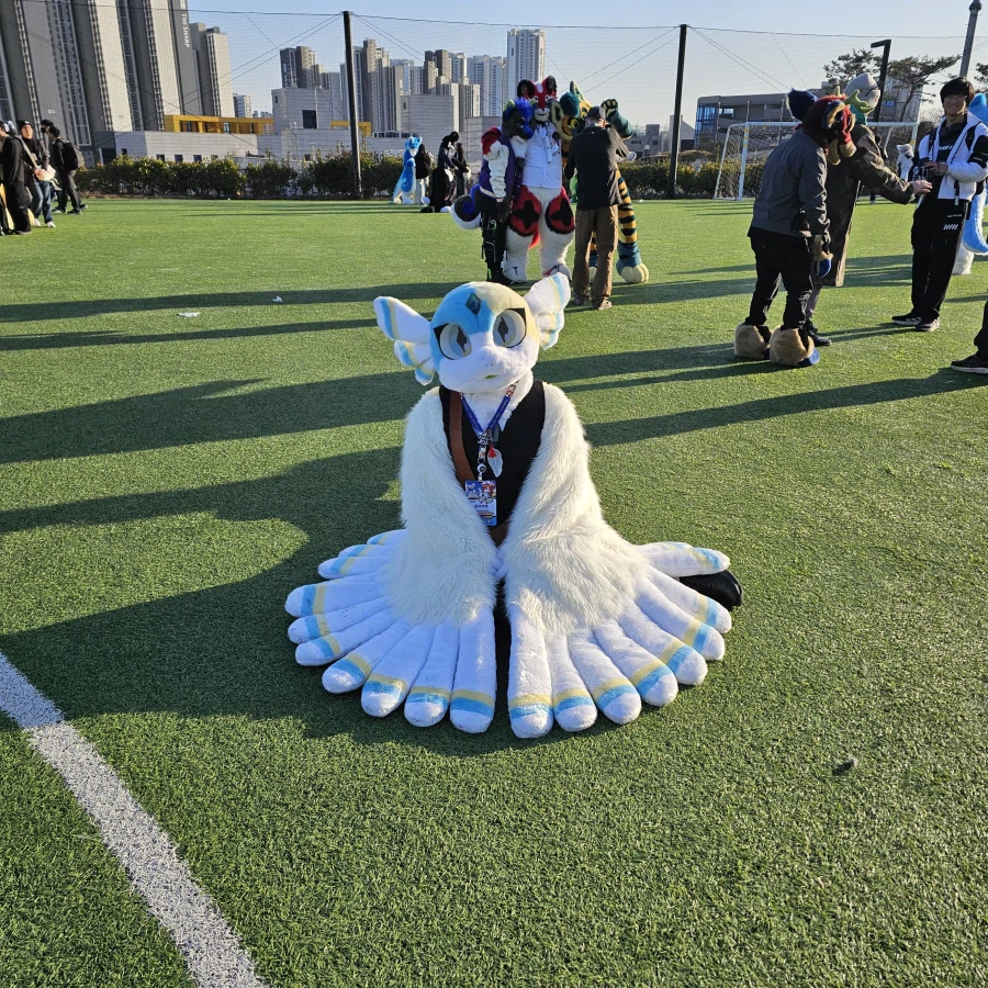 퍼리조아 때 찍은 것들_40.webp