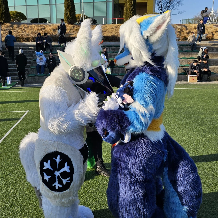 퍼리조아 때 찍은 것들_52.webp